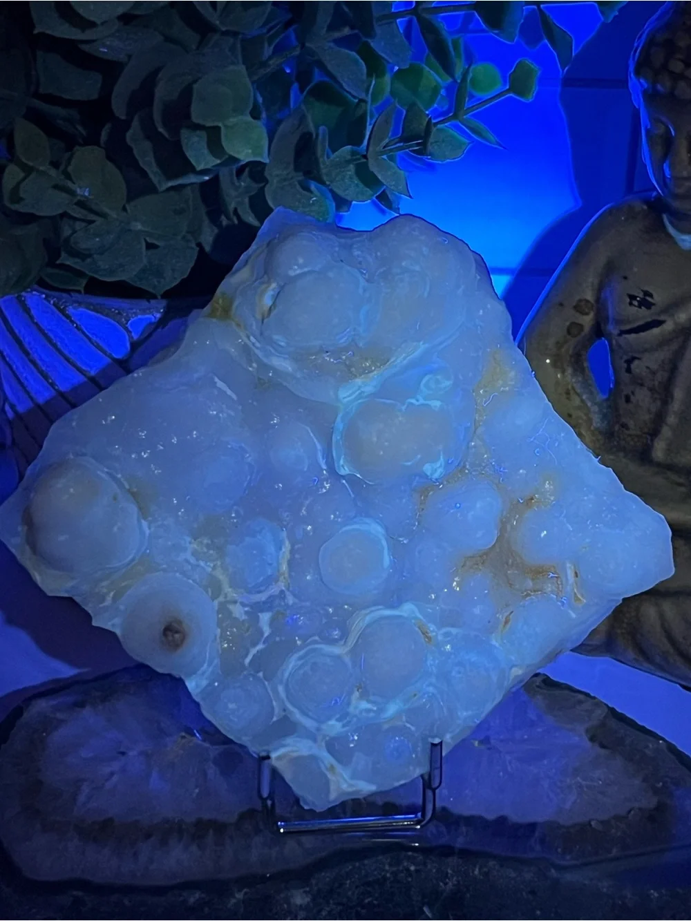 UV Reactive Gobi Eye Agate